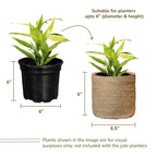 Jute Planter Basket Set of 2 Woven Jute Rope Covers for Decorating Indoor Outdoor Succulents Small Plant Pots Multi Purpose Storage Bins 6.5 Inches   Modern Style Décor  Brown