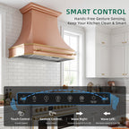 Nauxus 60" Built-In Range Hood Insert – 1200 CFM Stainless Steel Hood with Touch & Gesture Control, 3CCT LED & LED Night Lights