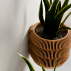 Wall Planter - Triple BUBBLES