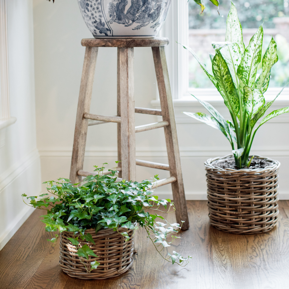 Rattan Flower Pot Basket with Plastic Inner