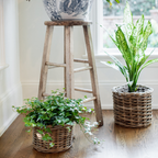 Rattan Flower Pot Basket with Plastic Inner